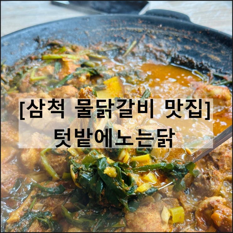  텃밭에노는닭 | 물닭갈비 삼척맛집 삼척여행 메뉴판 주차 웨이팅