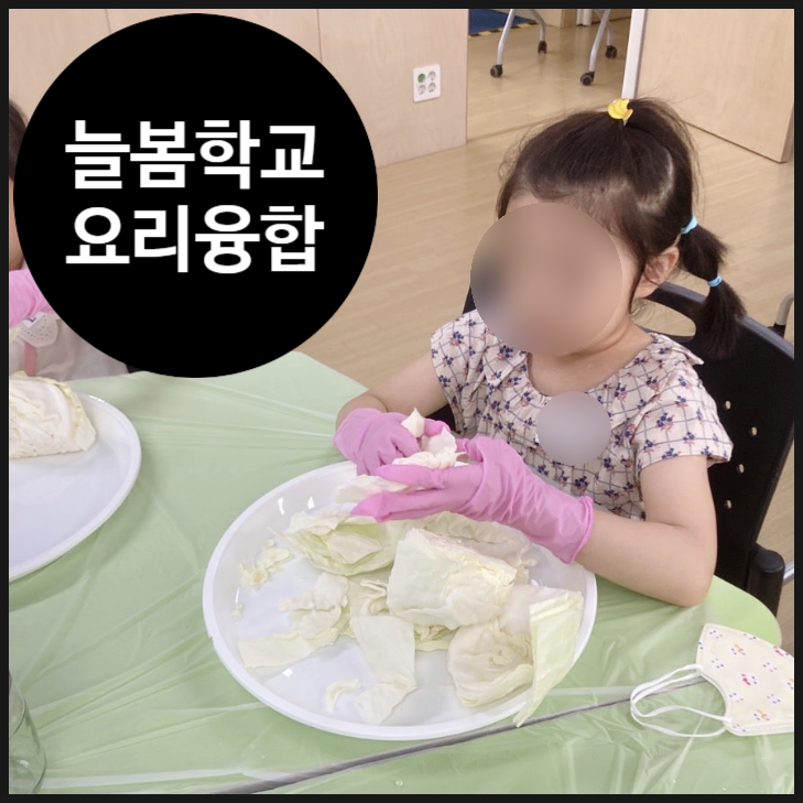  [늘봄학교 서울] 양배추로 만드는 독일김치 사우어크라우트 | 초등학교 | 창의 | 융합 | 요리 과학 | 오해피데이지