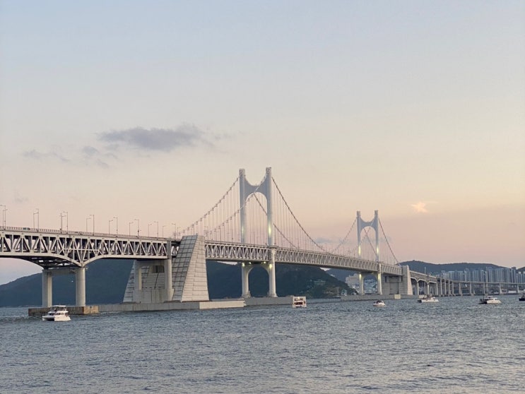  2024년 7월 광안리 해변영화관 상영스케줄