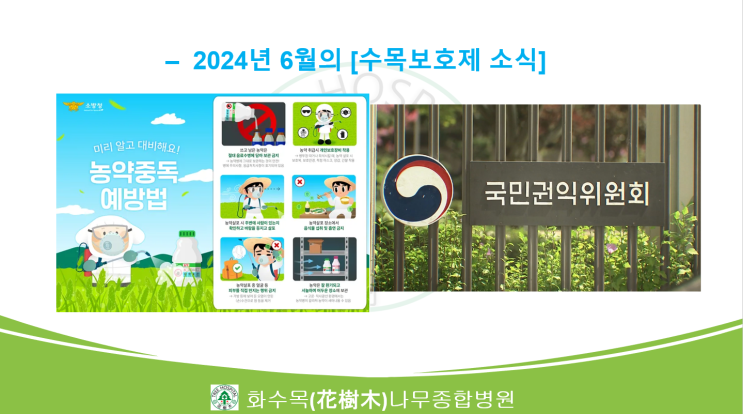  2024년 6월의 수목보호제 뉴스 모음