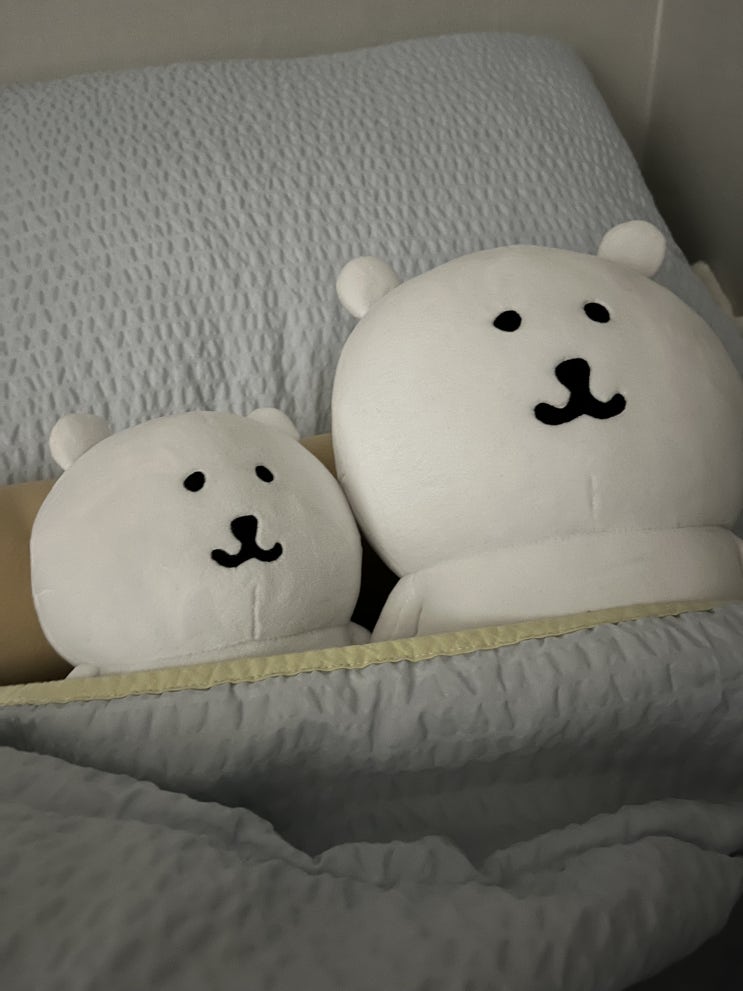  농담곰 덕질하는 일상 / 신촌 팝퍼블 담곰이 카페 농담곰 팝업 카페 방문 후기