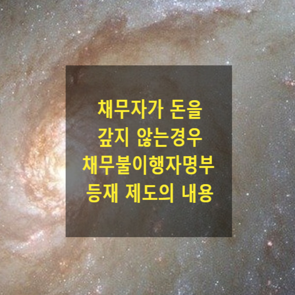  채무자가 돈을 갚지 않는경우 - 채무불이행자 명부등재 제도의 내용