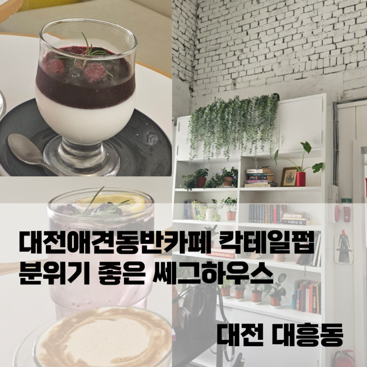  대전애견동반카페 칵테일펍 분위기 좋은 쎄그하우스 | 대흥동