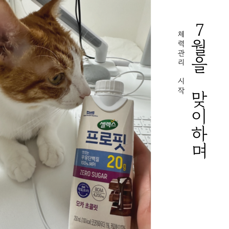  2024년 7월을 맞이하며
