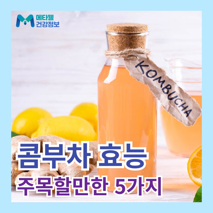  콤부차의 주목할만한 효능 5가지, 부작용, 혈당 관리와 다이어트에 도움이 될까?