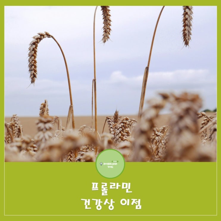  프롤라민 건강상 이점 알아보기(속쓰림|위벽보호|소화개선)