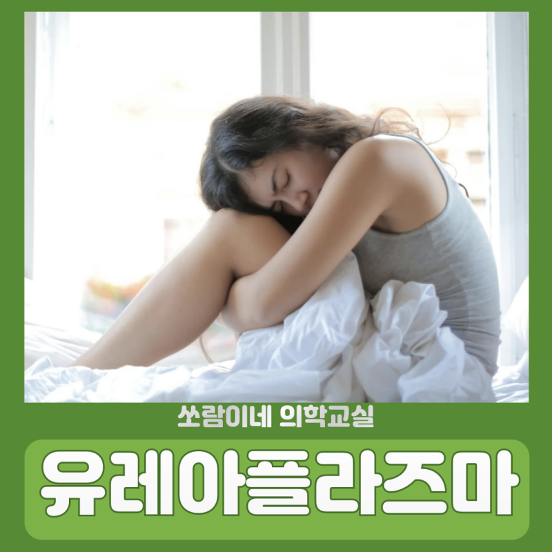 유레아플라즈마 질염 종류 파붐 남자 치료