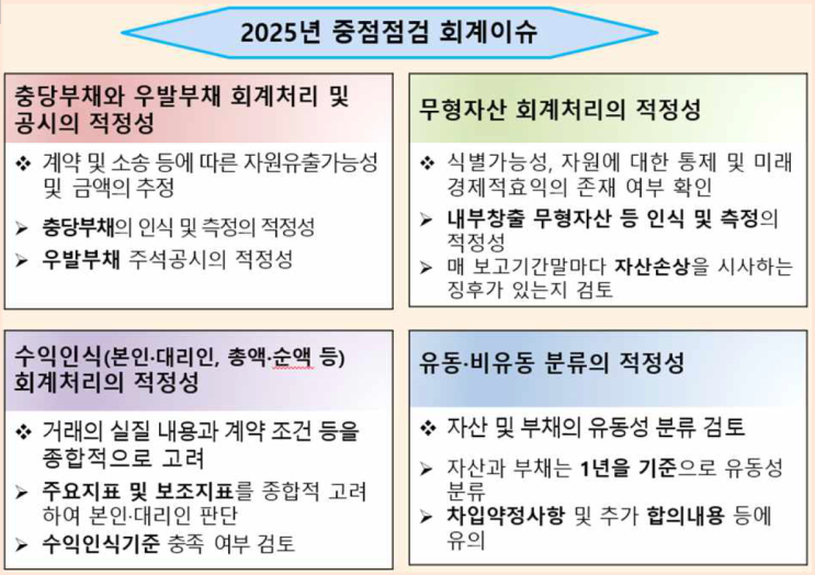  2024년 비상장법인 재무제표에 대한 2025년 중점 점검분야 사전예고 안내 (+주의사항 추가)