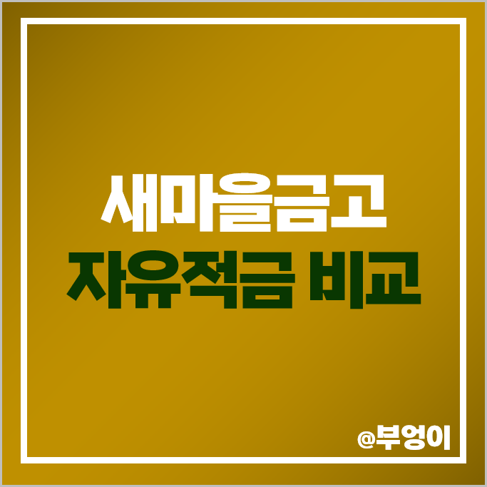 새마을금고 자유적금 특판 비교 단기 6개월 금리 높은 적금 추천 새마을금고 자유적금 특판 비교 단기 6개월 금리 높은 적금 추천