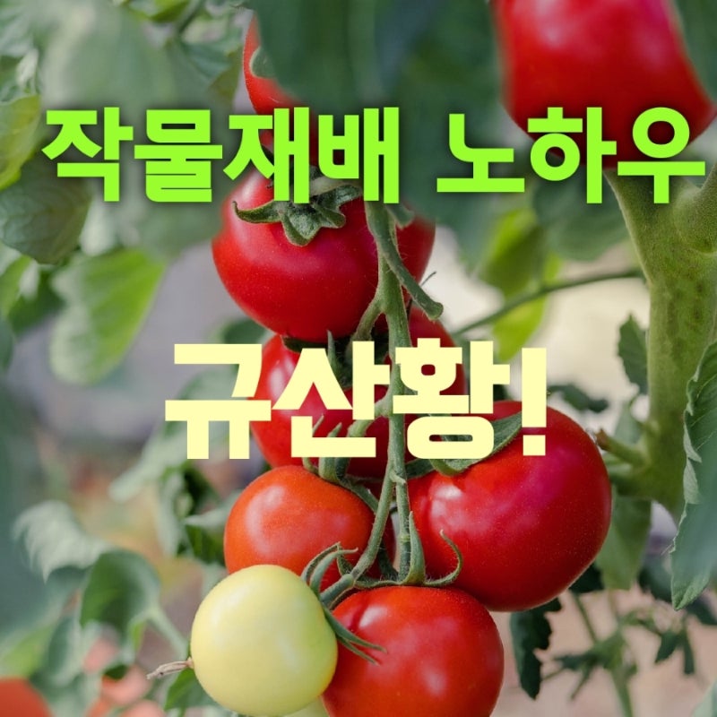 규산황 나방진 효능 효과 친환경 살균 살충제