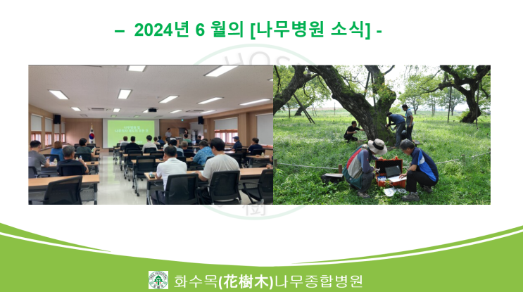  2024년 6월의 나무병원 뉴스 모음