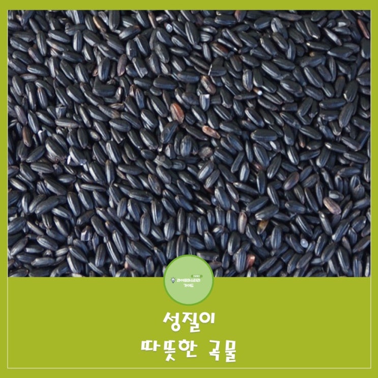  성질이 따뜻한 곡물|원기회복과 소화에 도움이 되는 음식