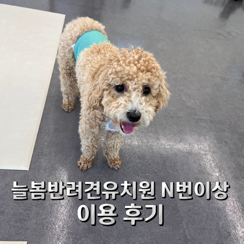 사진 6