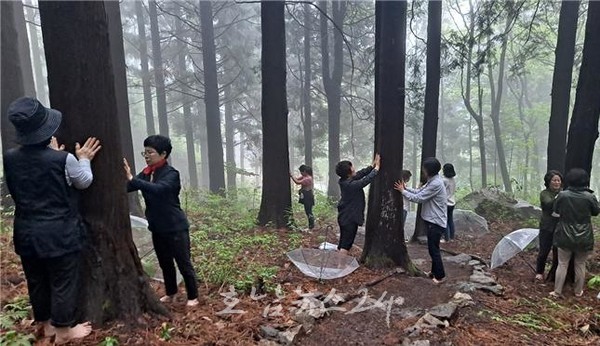  광양 백운산자연휴양림, ‘쉼이 있는 여행’ 테마 전남도 7월 추천관광지 선정