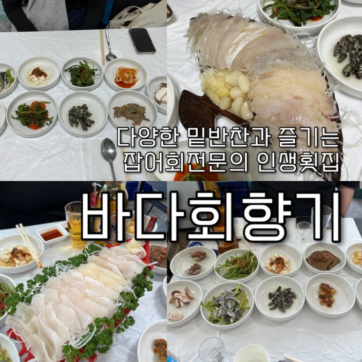  내돈내산 | 서울에서 유일무이한 잡어회를 전문으로 소주를 주문하면 더덕주도 먹을수있는 밑반찬까지 훌륭한 길슐랭인정, 최고의횟집 “바다회향기”