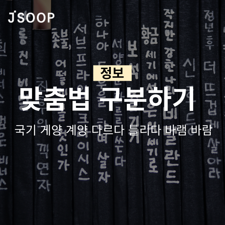  맞춤법 테스트 국기 게양 계양 다르다 틀리다 바램 바람 무엇이 맞을까?
