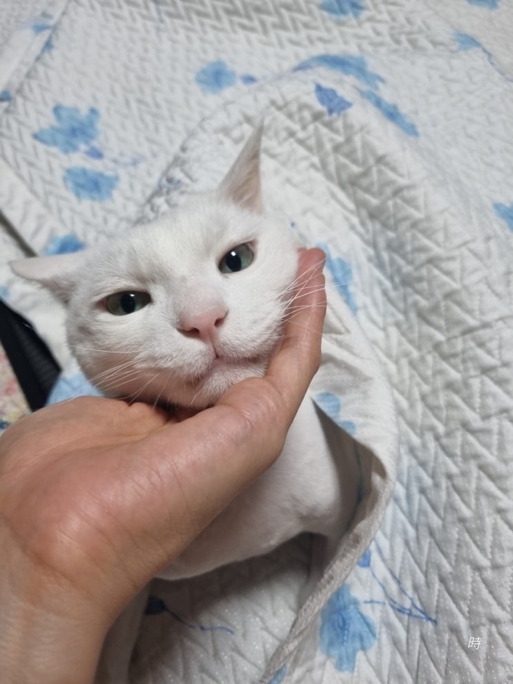  너의 시선 한줌
