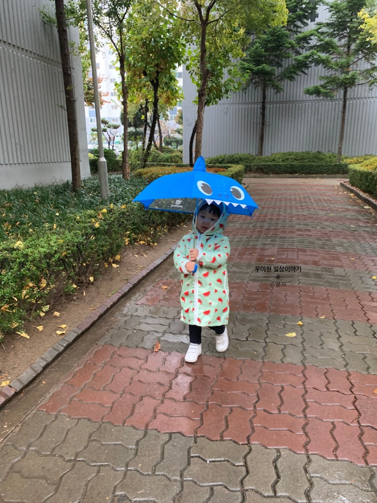  자몽 망고 오늘의 성장기