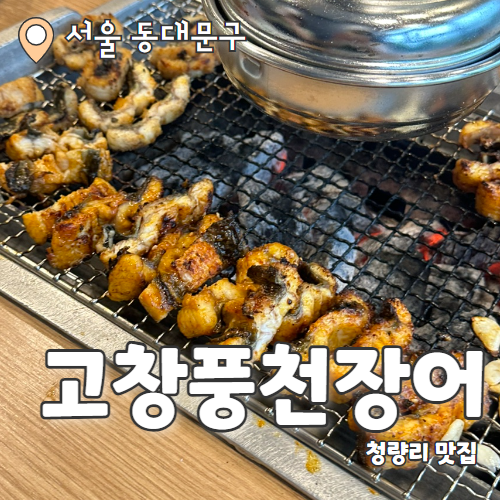  고창풍천장어 : 청량리 가성비 좋은 장어맛집 내돈내산 후기