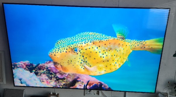  삼성전자 4K QLED TV QC67 벽걸이형 스탠드형 43인치 티비 50인치 55인치 65인치 75인치 85인치 티브이 추천 HDR TV QLED TV 구매 판매 구입 가격표