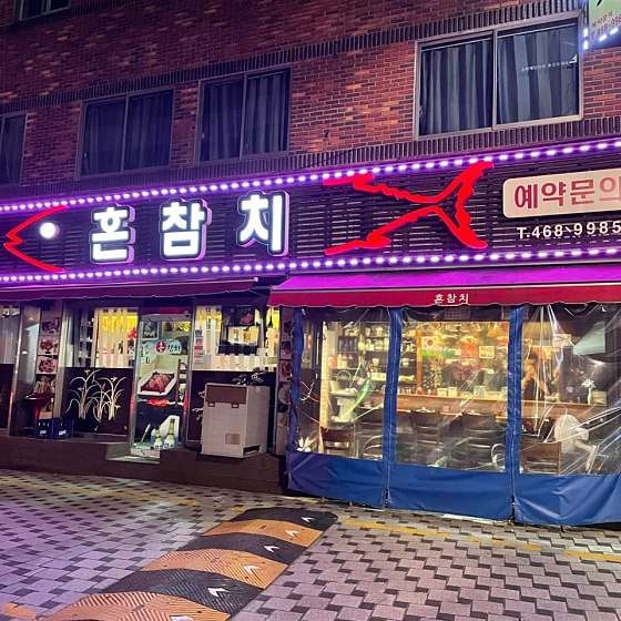 혼참치 사진 1