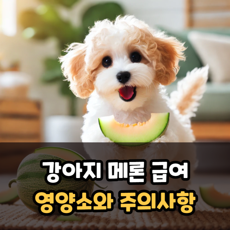  강아지 메론 급여 영양소와 주의사항