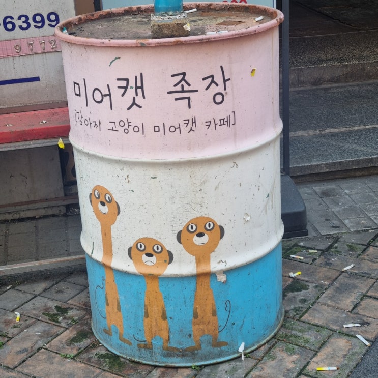  건대입구역 6번 출구 동물까페 미어캣족장 다녀왔어요 