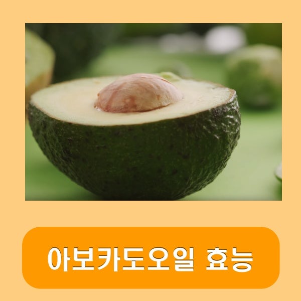 아보카도오일 효능 아보카도유 아보카드오일 먹는법 고르는법 확실하게 챙기세요