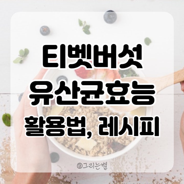 티벳버섯유산균의 효능, 활용법, 요거트 만들기