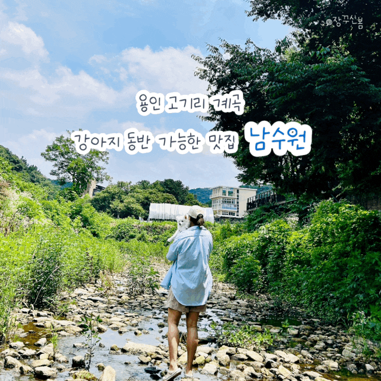 계곡이 바로 옆에? 용인 고기리 계곡 강아지 동반 맛집 남수원 계곡이 바로 옆에? 용인 고기리 계곡 강아지 동반 맛집 남수원