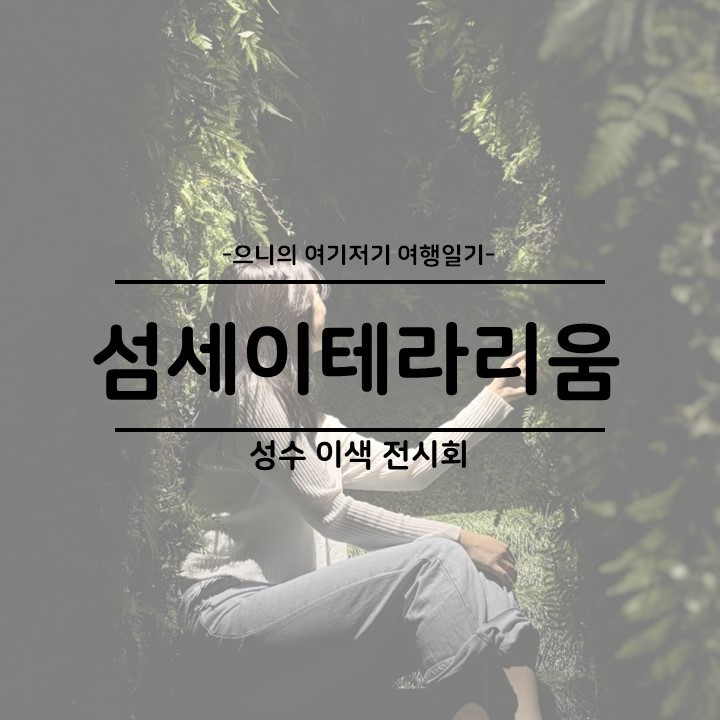  서울 성수 놀거리 섬세이테라리움 체험전시 주차 예약 소요시간