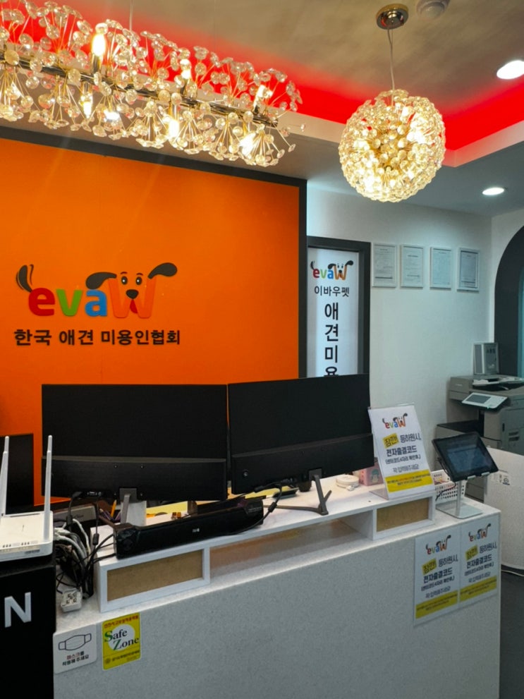  노원, 도봉, 강북 애견미용학원 추천(비용, 시간표)