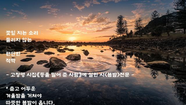 .......꽃잎 .......꽃잎