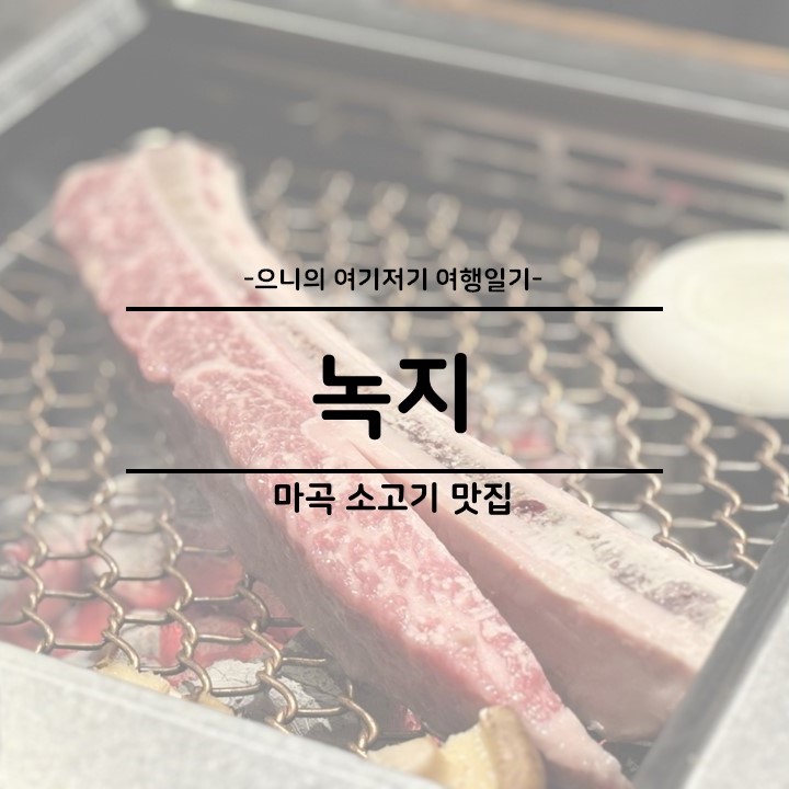  마곡 맛집 소고기 양고기 고기집 추천 녹지 메뉴 후기