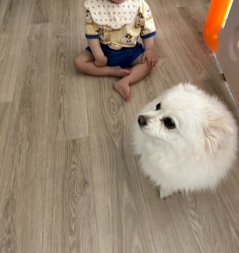 사진 7