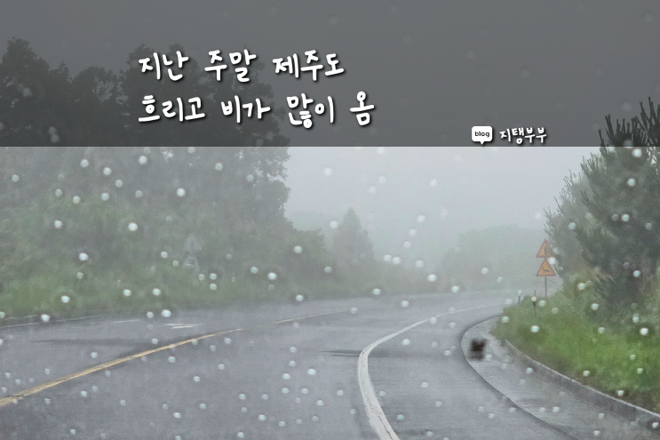  지난 금토일 나의 일상 : 평양냉면 처음 먹어보고 반함 정말 오랜만에 큰 맘 먹고 표선면으로 갔는데 체험단 튕김 그치만 장어가 나를 치유해줌 또 일본여행 계획 다 짰다