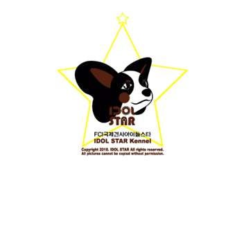IDOL STAR