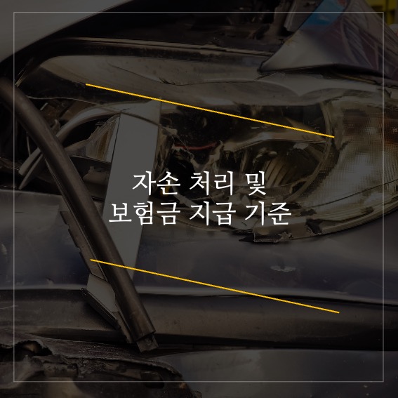  자손 처리 및 보험금 지급 기준