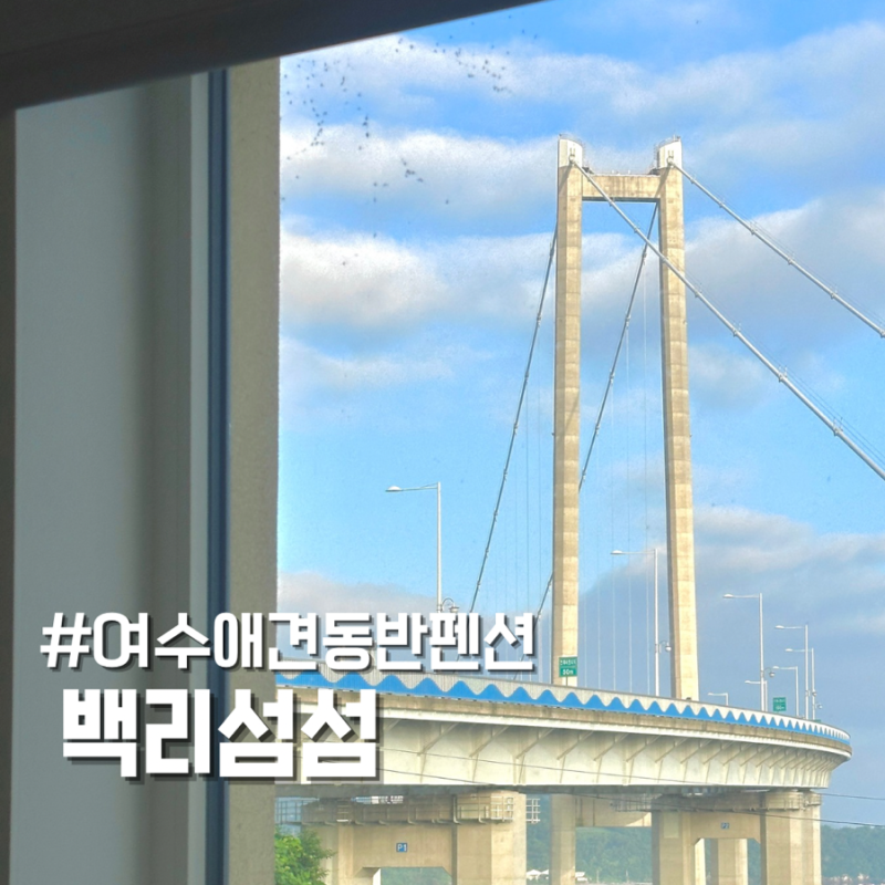 사진 4
