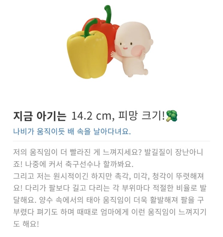  [임신일기] 본격 배 나오기 시작한 임신 18주(태교 루틴)