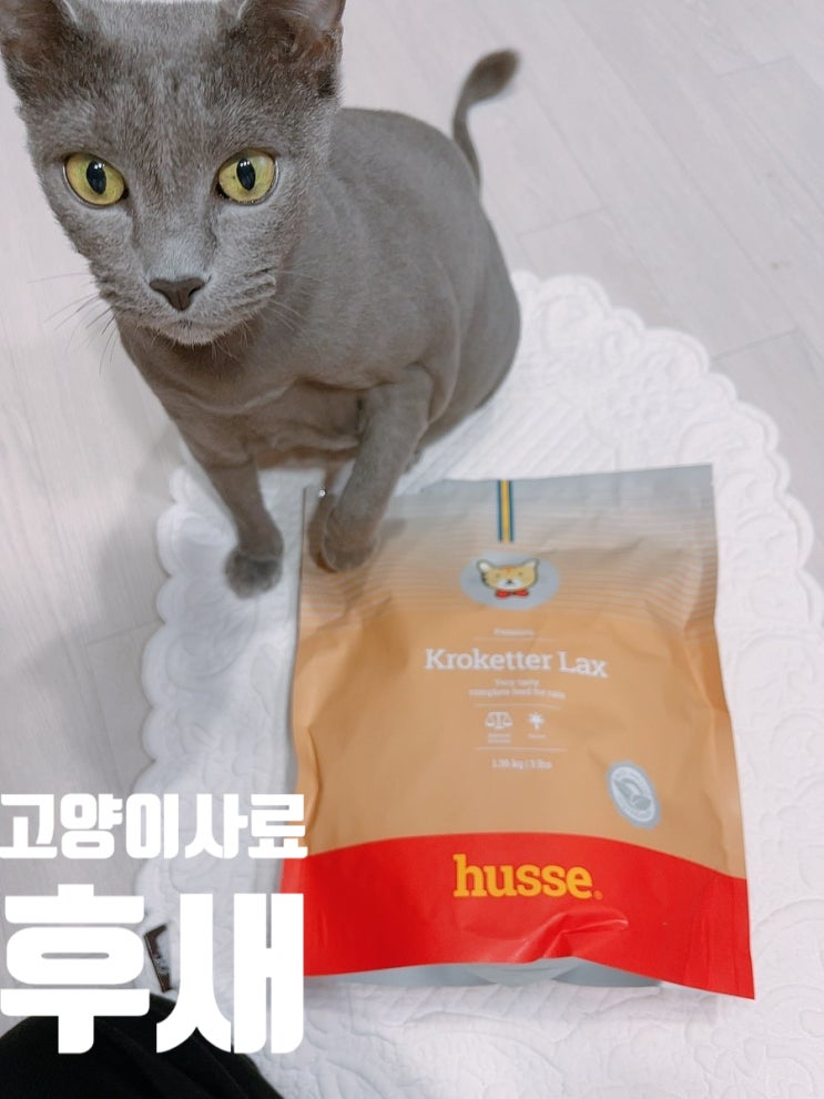  고양이사료추천 후새 기호성 좋은 안전한 성분 사료 후기