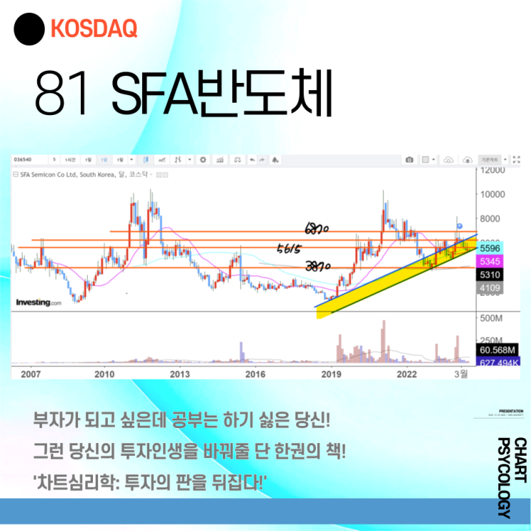  코스닥 81위 SFA반도체 주가 전망 - 투자자에게 선택을 강요하고 있다? 2024년 3분기