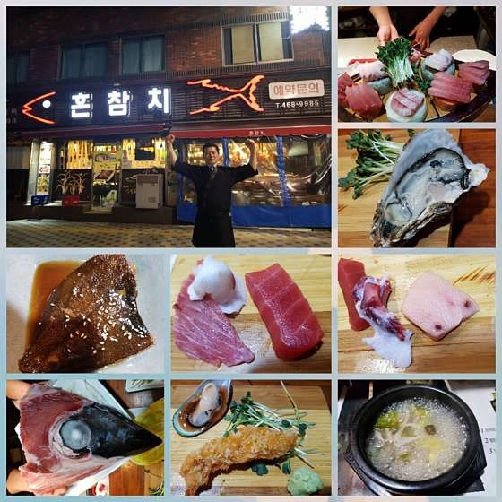 혼참치 사진 4