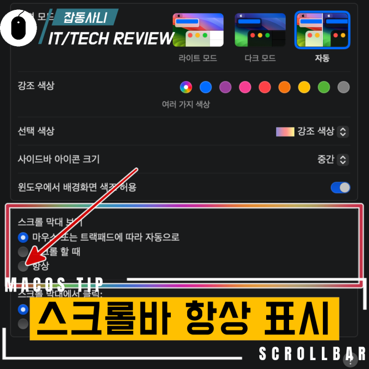  맥 OS 스크롤바 표시가 안되어서 불편하다면 간단하게 변경하기
