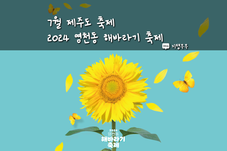  7월 제주도 축제 영천동 해바라기 축제 올해는 여름에 열린다