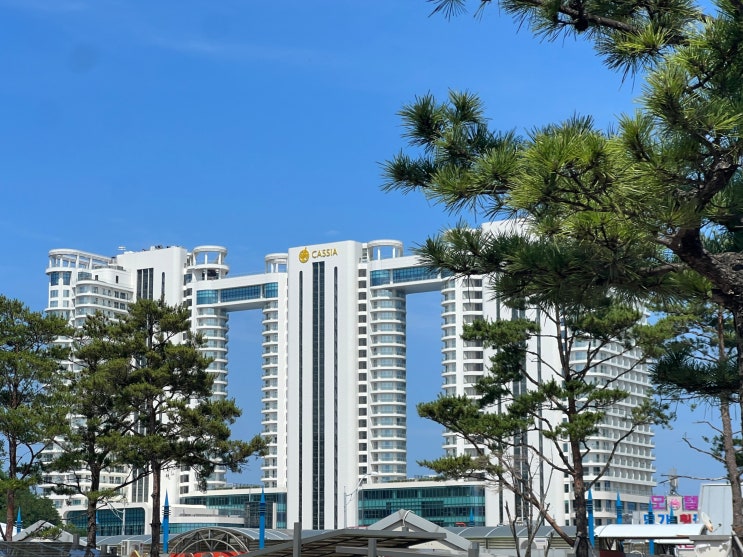  카시아 속초 대포항 신상 호텔 엄마랑 1박 2일 디럭스 트윈 내돈내산 후기