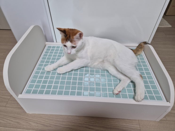 고양이 여름나기 - 고양이 타일 침대 만들기 DIY