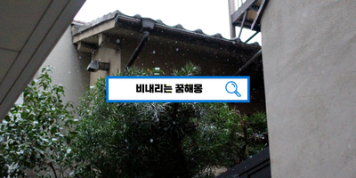  [꿈해몽풀이] 비오는꿈, 비가내리는꿈, 홍수가나는꿈, 무지개가뜨는꿈