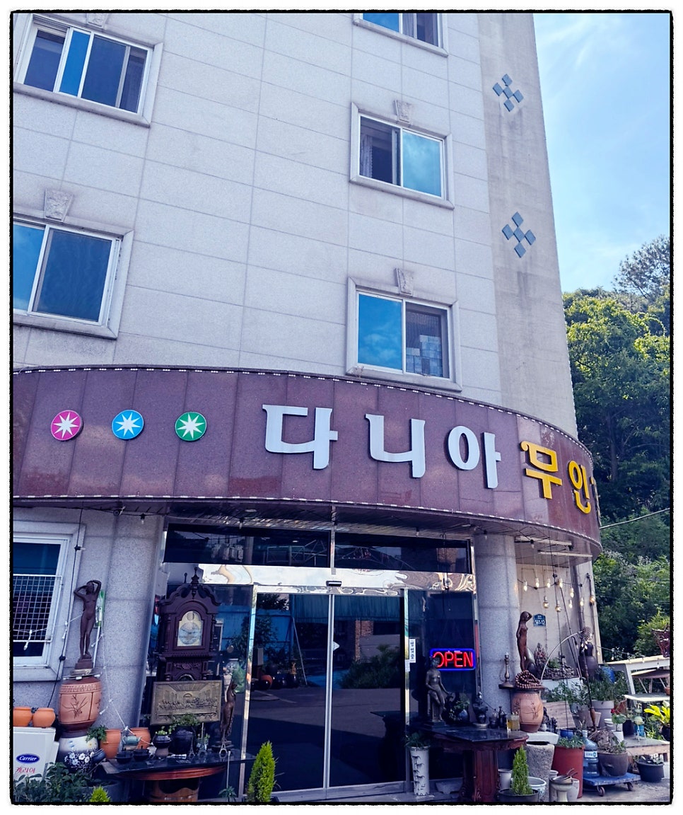 다니아무인텔 사진 3