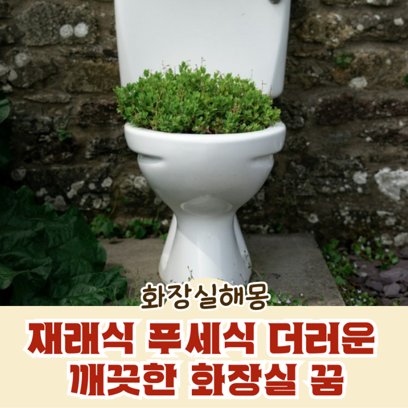 재래식 푸세식 더러운 깨끗한 화장실 꿈 화장실에서 대변보는 꿈 가는꿈 청소하는꿈 찾는 꿈